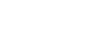Flagsystem